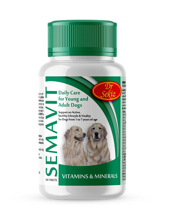 Beta sales carotene dogs