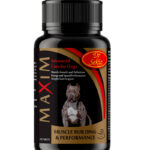 MaXim